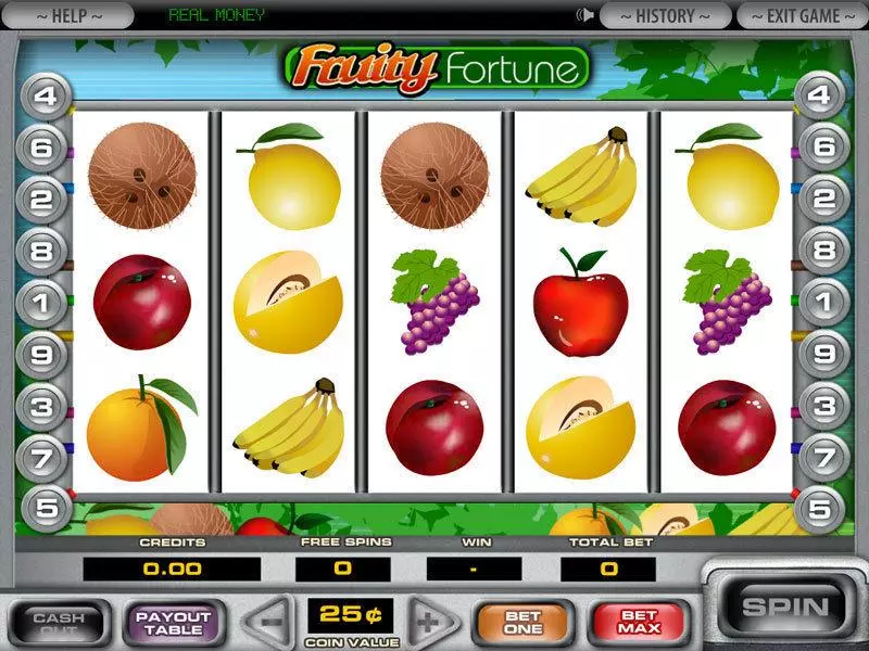 5-Reel Fruity Fortune DGS 5 Reel 9 Line