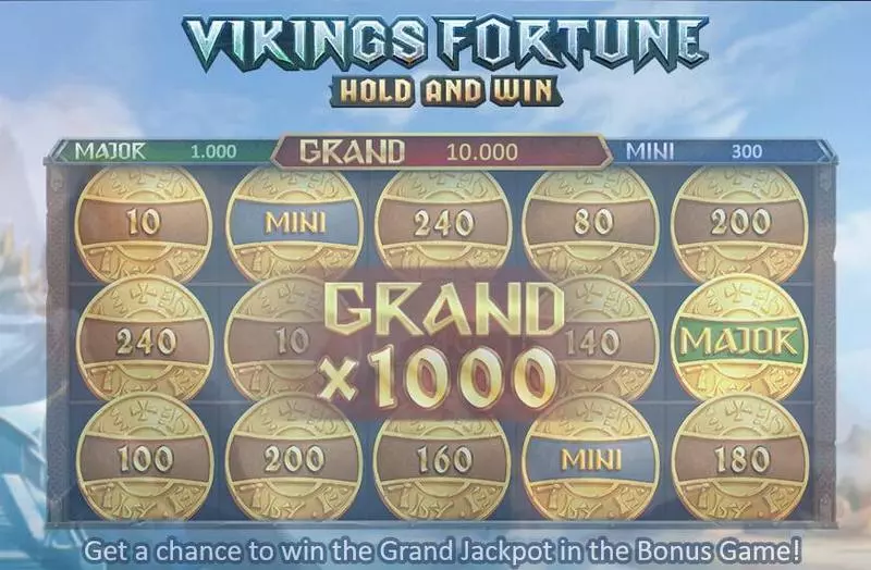Vikings Fortune: Hold and Win Playson 5 Reel 25 Line