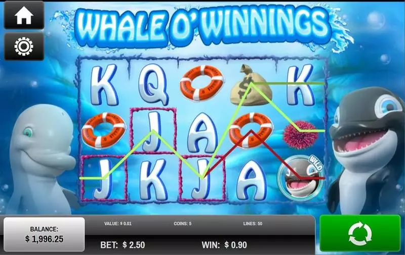 Whale O'Winnings Rival 5 Reel 50 Line